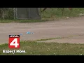 Oak Park shooting Man found dead inside vehicle on Meyers Road