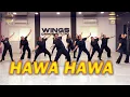 Hawa Hawa - Dance Bollywood Dance Workout Dhurandhar Ranveer Singh Hassan Jahangir Zumba