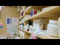 Virtual Tour - Colonial Heights Animal Hospital