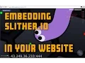 How To Embed Slither io In Your Own Website