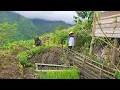 Download Lagu Days of rain and shine to make vegetable garden