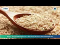 Download Lagu Dr. Celia Antony talks about Rice - Good Or Bad
