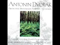 From The Bohemian Forest, Op. 68 No. 1: By The Black Lake