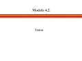 Module 4 Segment 2 - Vision