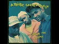 Check The Rhime (Mr. Muhammad's Mix)