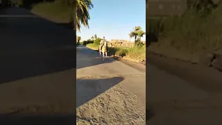 الخوف لا يعرفنا ولا احنا نعرف  الصعيدي دندنها