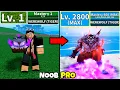 Beating Blox Fruits as Jabra! Level 0 to Max Full Human v4 Awakening Noob to Pro in Blox Fruits!