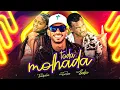 Lagu MC TOCHA, MC BABU E MC THAIZINHA - TODA MOLHADA - BREGA FUNK