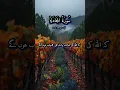 Download Lagu Surah Al Mujadilah verses 20-22#surahmujadilah #surah #quran #islamicvideo #youtubeshorts #islam