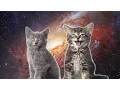 Download Lagu Space Cats — Magic Fly