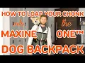 How To Load Your Chonk Into The Maxine One Dog Backpack and attach the hip belt