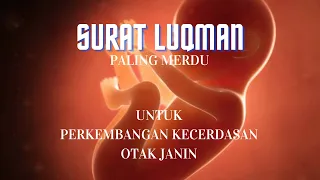 Download SURAT LUQMAN FULL || MUZAMMIL HASBALLAH MP3
