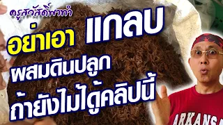 ทำแกลบเก่าก่อนนำมาผสมดินปลูก @krusawat