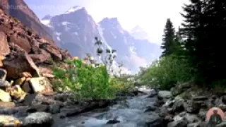 فصيدة التحلى بالتخلى                          الحاج عبد الماجد دندنها