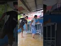 Download Lagu hahahaaha kocak🤣#fyp#shortsvideo#ngakak#subscribe