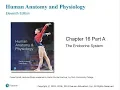 Chapter 16 The Endocrine System - Part I