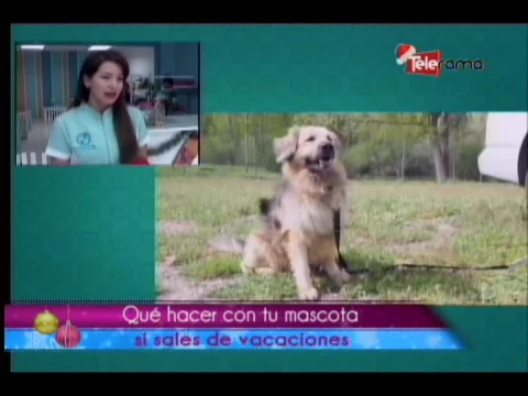 QUÉ HACER CON TU MASCOTA SI SALES DE VACACIONES 