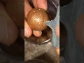 Macadamia Nut Key