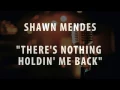 Download Lagu SHAWN MENDES - THERE'S NOTHING HOLDIN' ME BACK (INSTRUMENTAL / KARAOKE VERSION)