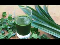 Download Lagu How To Make Pandan Paste (Concentrated Pandan Juice)