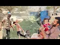 Download Lagu The Goats That Saved the Winter | A Villager's Sacrifice for His Sheep