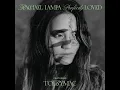 Rachael Lampa (feat. TobyMac) Perfectly Loved