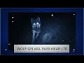 Wolf seen on Vail Pass camera near I-70 What it means according to an expert