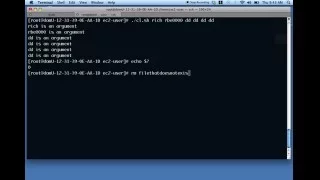 Advanced scripting topics - Command line arguments return values and special shell variables