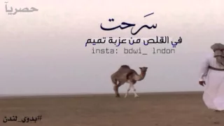 شيلة سرحت في القلص من عزبة تميم دندنها