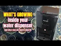 Before you drink when s the last time you cleaned your water dispenser