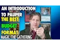 MTG - Introduction To Pauper