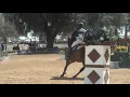 Devoucoux Hunter Derby - Round Two - Handy
