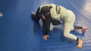 Yvonne vs Amber Sept 13 2024