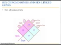 Bio 112 Chapter 9 Part 3 Patterns of Inheritance