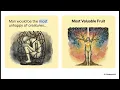 The Universe as a Mirror Divine Unity Resurrection and Prophethood 2nd Ray