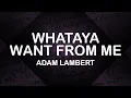 Download Lagu Adam Lambert - Whataya Want From Me (Lyrics / Lyric Video)
