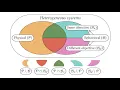 Heterogeneous Multi-Robot Reinforcement Learning