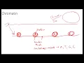 AP Biology Beyond the Vocabulary Cell Division Vocabulary