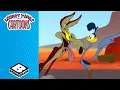 Download Lagu Wile E. Coyote Vs Concrete | Looney Tunes | @BoomerangUK
