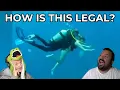 Download Lagu Divers React to Tandem Scuba Diving and questionable techniques