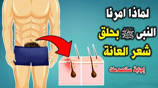 لماذا امرنا النبي ﷺ بحلق شعر العانة ونتف الإبط اسبوعياً !؟ وماذا يحدث للجسم عند تركها ؟
