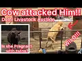 Things got wild at Delhi Livestock auction