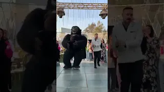 فرحة الدلوعه الغوريلا  فرحة الدلوعه الغوريلا