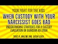 When Custody Goes Bad - Strategies for a Custody Evaluation or Guardian Ad Litem