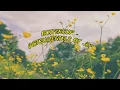 Download Lagu Buttercup - Jack Stauber [instrumentals by jef]