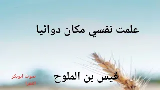 علمت نفسي مكان دوائيا   قيس بن الملوح دندنها