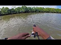 Download Lagu Mancing kakap Lezat untuk menu makan malam