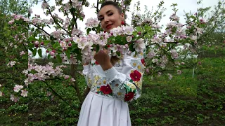 Де розквiтли ромашки Анжелiка Векерик Ой дівчата дівчата українська народна пісня весільні 