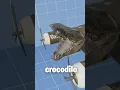 Download Lagu O Q FAZER CASO AVISTE UM BOMBARDINO CROCODILO? #curiosidades #jazzghost #tralalerotralala #shorts