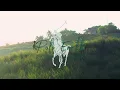 RALPH LAUREN | Polo Earth Eau de Toilette | Inspiration of a Fragrance
